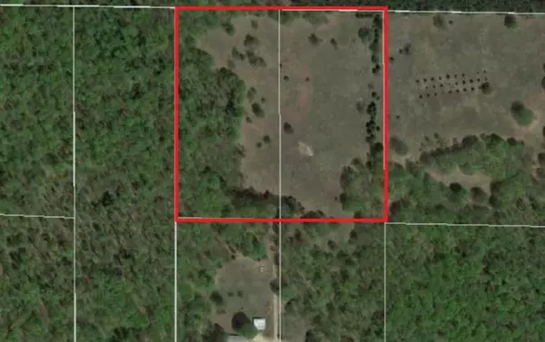 10 Acres Trail's North Road, Beulah, MI 49617