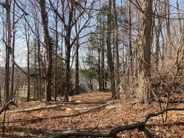 Onekama, MI 49675,8370 First Avenue