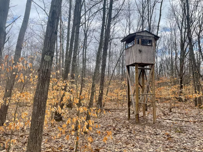 0 E 40th Street, Reed City, MI 49677