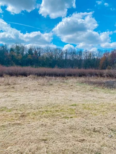 27199 CR 388, Gobles, MI 49055