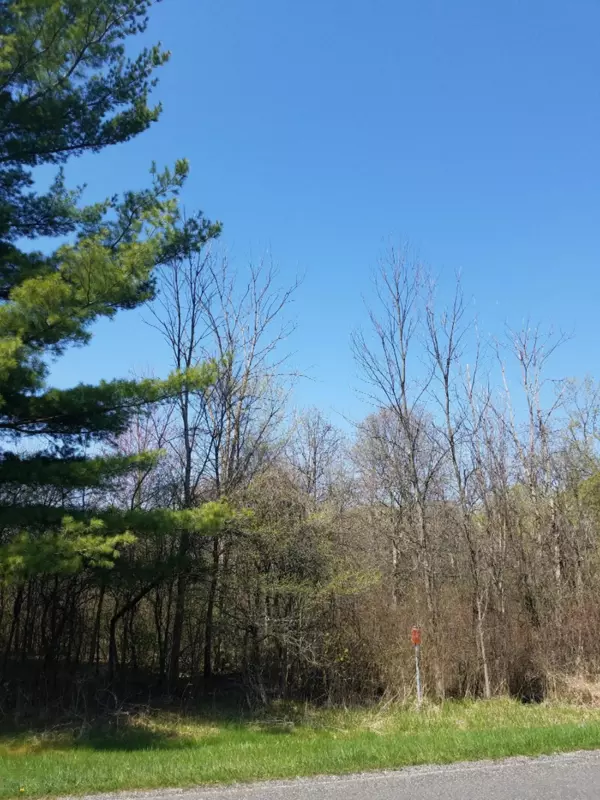 Gobles, MI 49055,37th Street