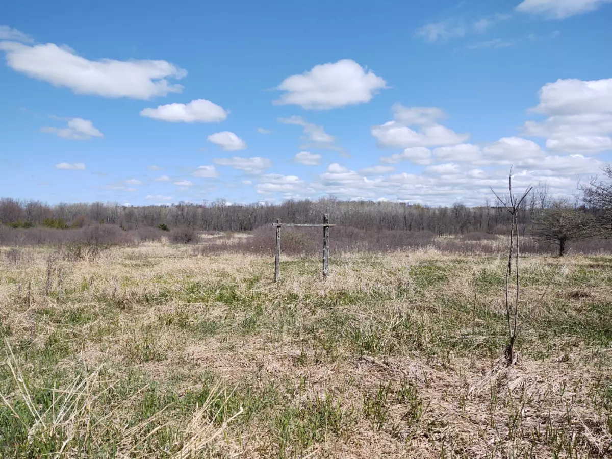 Hart, MI 49420,Vacant Lnd E Polk Road