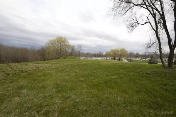 Springfield, MI 49037,46 N New Moon Terrace