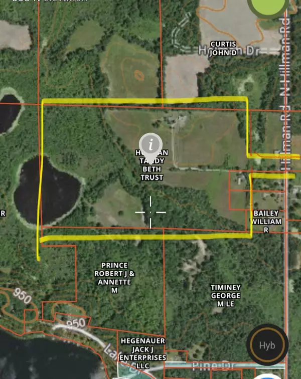 Par 1 N Hillman Road, Six Lakes, MI 48886