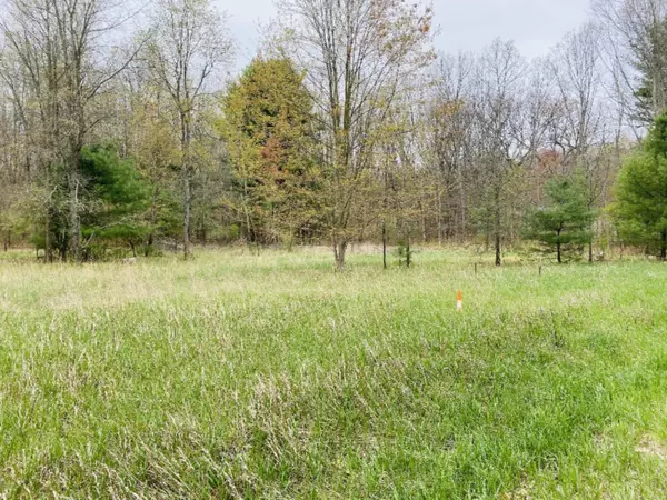 Pierson, MI 49339,23251 W Wood Lake Drive