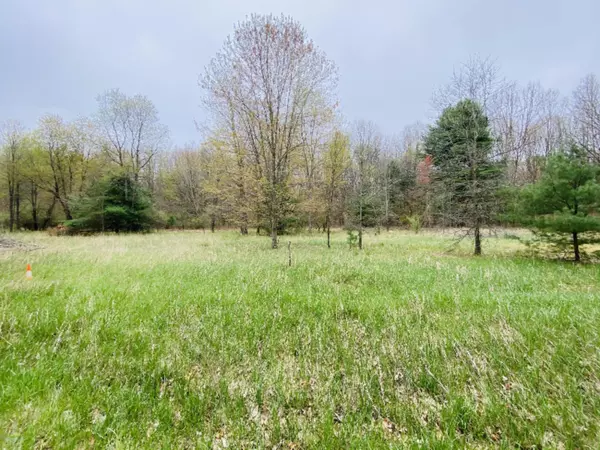 Pierson, MI 49339,23251 W Wood Lake Drive