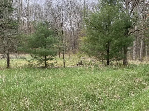 Pierson, MI 49339,23279 W Wood Lake Drive