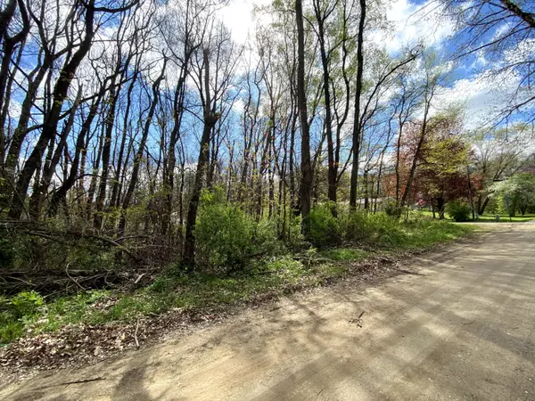 Dowagiac, MI 49047,VL Maple Street