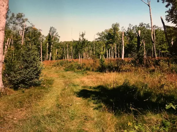 Beaver Island, MI 49782,0 N French Bay Road