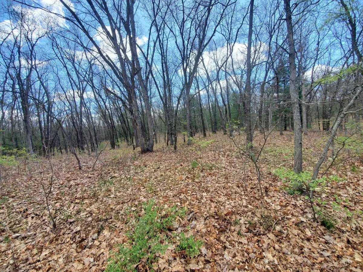 Twin Lake, MI 49457,0 Oak Road #Parcel B