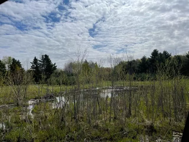 79.5 150th Avenue, Stanwood, MI 49346