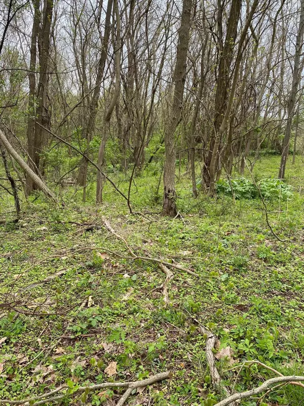 Cassopolis, MI 49031,Forest Shores