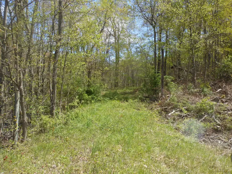 Brush Lake Road, Eau Claire, MI 49111