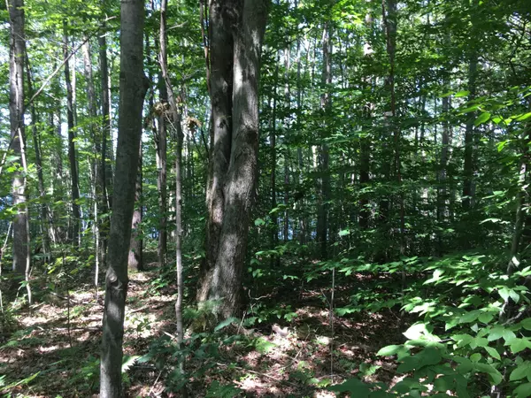 Reed City, MI 49677,00 Alpine Drive #Lot 127