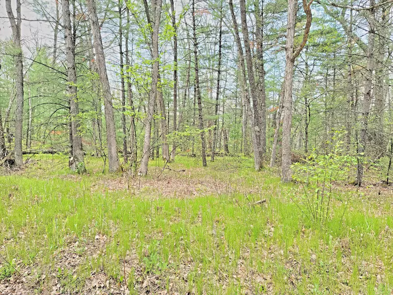 VL Third Street, Baldwin, MI 49304