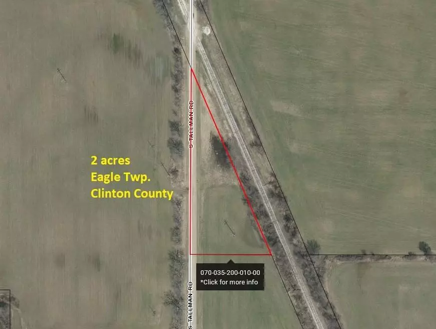 Grand Ledge, MI 48837,VL S Tallman Road - 2acres