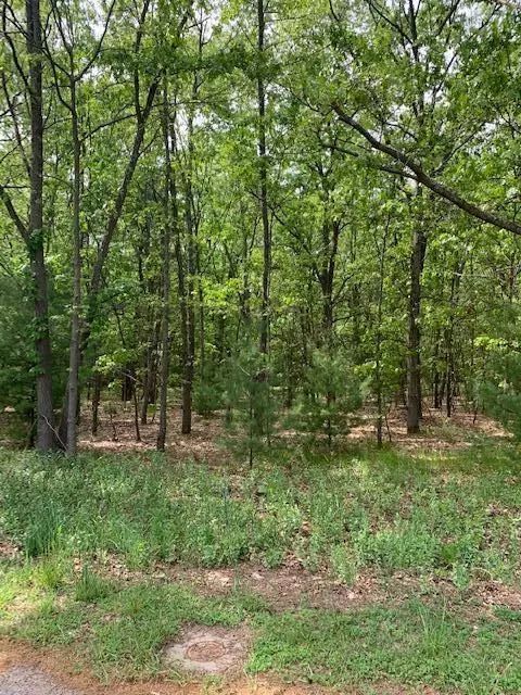 Montague, MI 49437,Lot 10 Lewanee Street