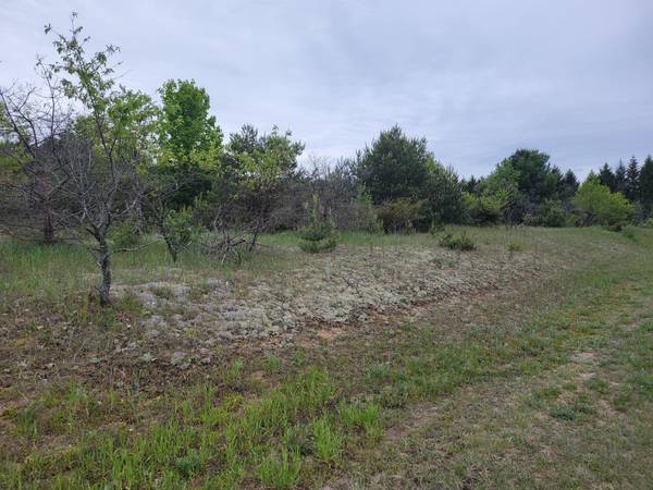 Bear Lake, MI 49614,Vacant Lot Clinton