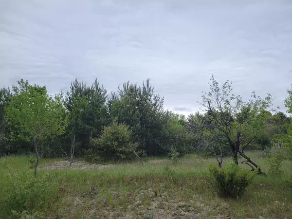 Bear Lake, MI 49614,Vacant Lot Clinton