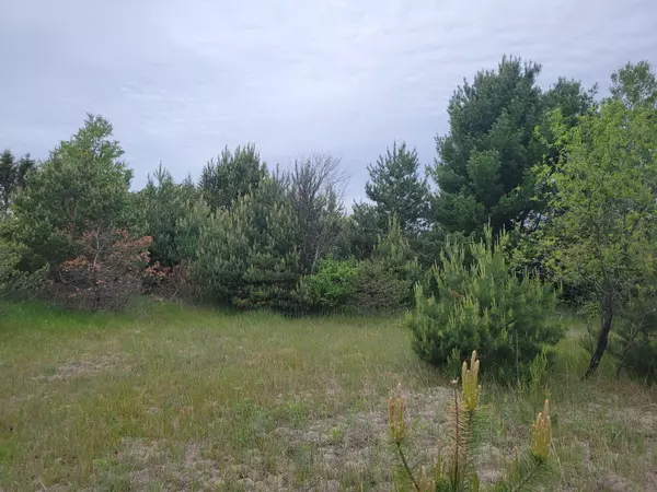 Bear Lake, MI 49614,Vacant Lot Clinton