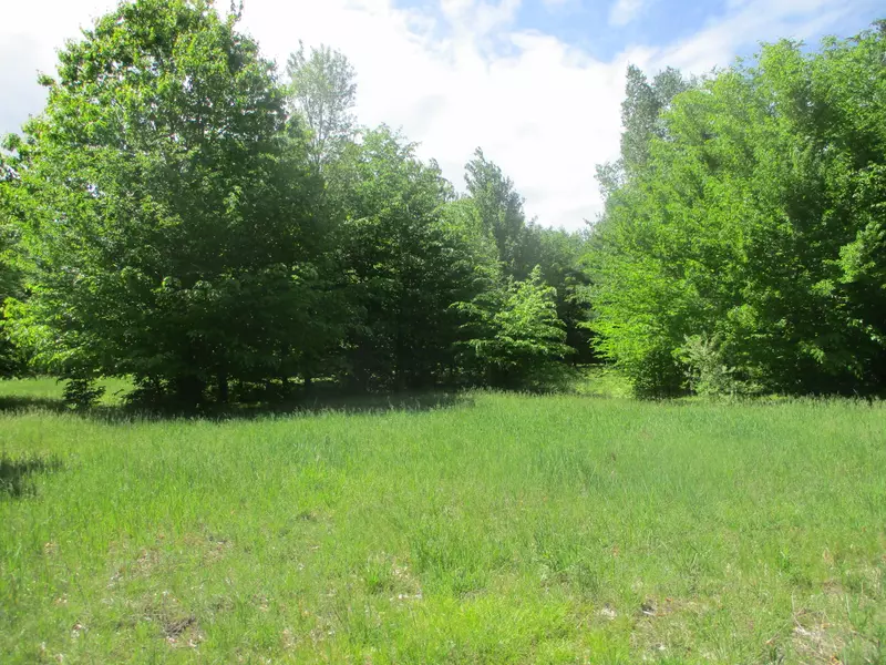 Smith Road #43, Onekama, MI 49675