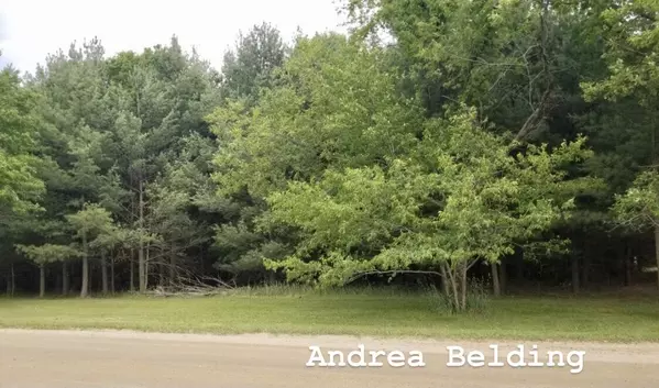 Sheridan, MI 48884,Parcel 1 Castle Road