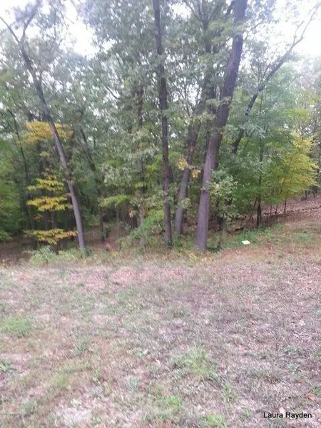 Vising Drive #LOT 6, Lowell, MI 49331