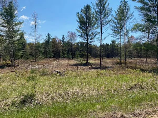 Free Soil, MI 49411,Treml Rd Parcel C-1