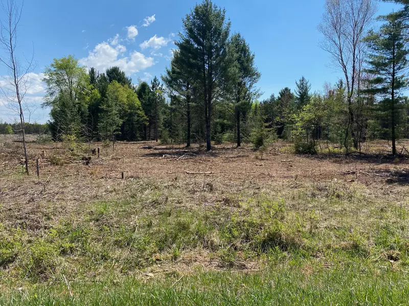 Treml Rd Parcel C-1, Free Soil, MI 49411
