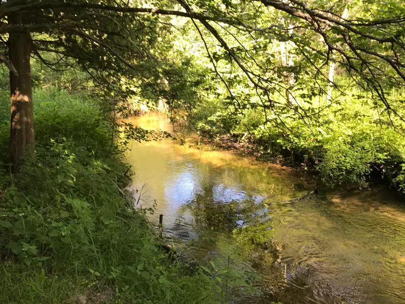 E A Avenue, Luther, MI 49656