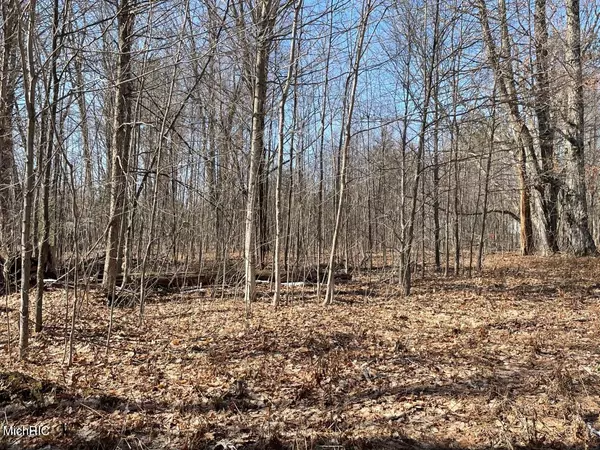 Thompsonville, MI 49683,Lot 56 Woods Trail