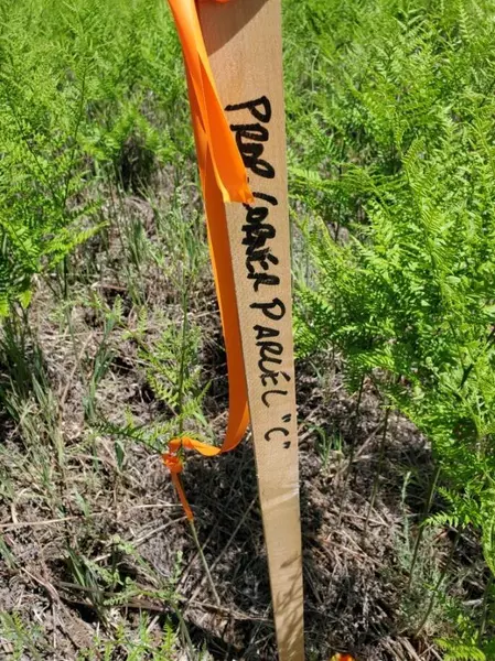 00 E 4 1/2 Mile Road, Luther, MI 49656