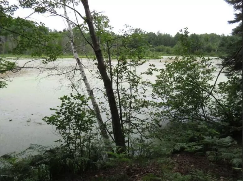 Reed City, MI 49677,0 Knapp Road