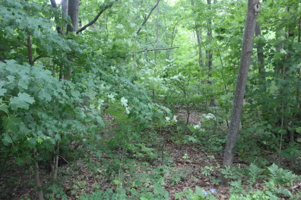 West Olive, MI 49460,0 Lakeshore Drive