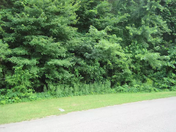 Gobles, MI 49055,409 Logan Lane