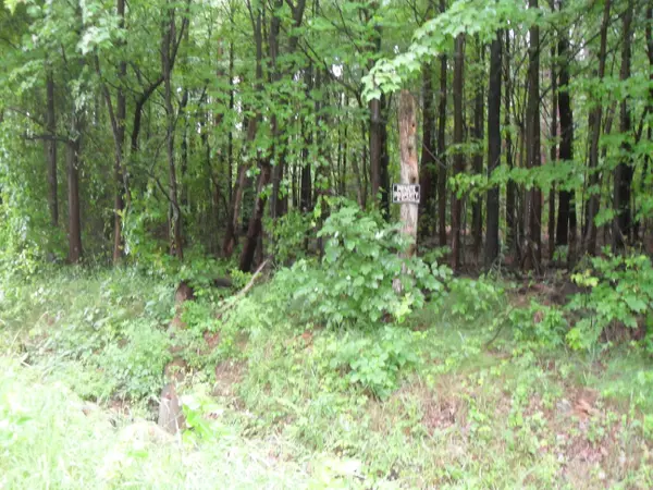West Olive, MI 49460,00 152nd Avenue