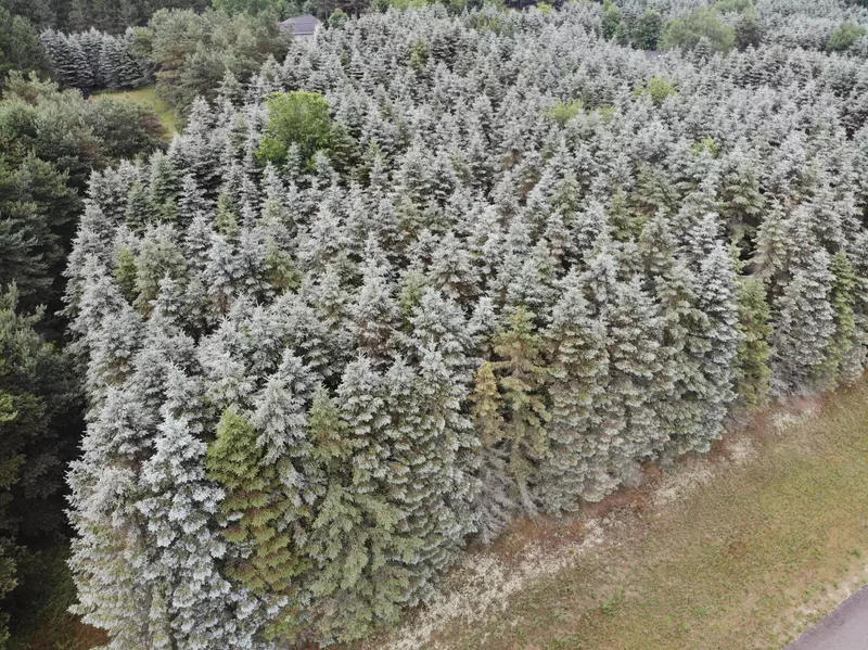 NN Lot #17 Ringneck Lane, Buckley, MI 49620