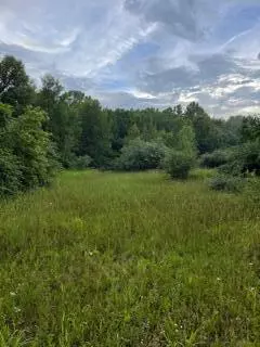 9233 N Drive S, Burlington, MI 49029