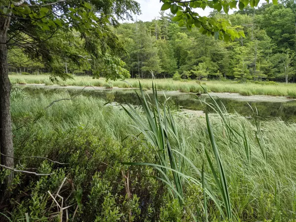 Free Soil, MI 49411,6647 W Nurnberg Road