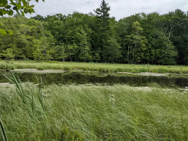 Free Soil, MI 49411,6647 W Nurnberg Road