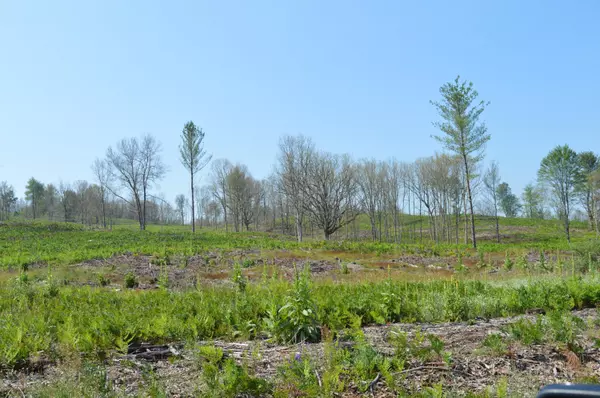 Reed City, MI 49677,E 16 Mile Road