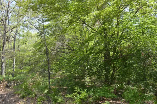Reed City, MI 49677,N Cypress Avenue