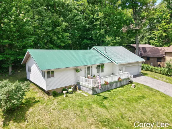 6832 Paradise Park, Saranac, MI 48881