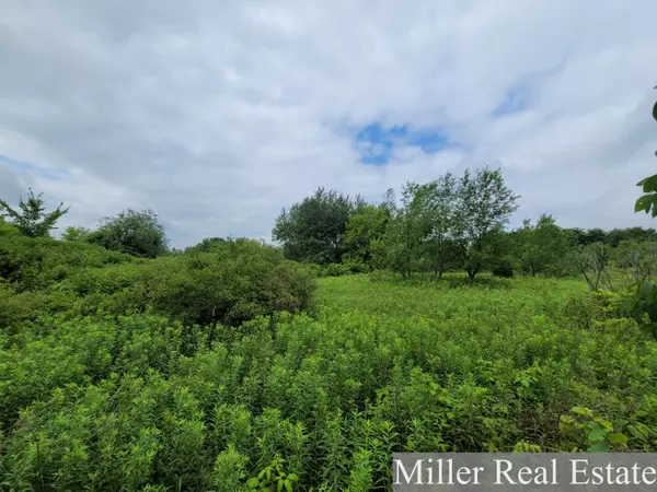Nashville, MI 49073,V/L E M-79 Highway