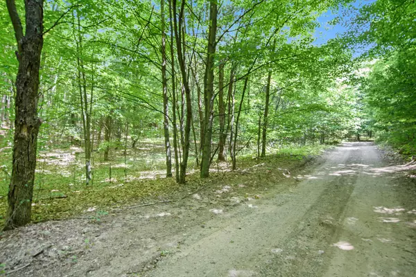 Mears, MI 49436,0 Wilson Road #Parcel 4