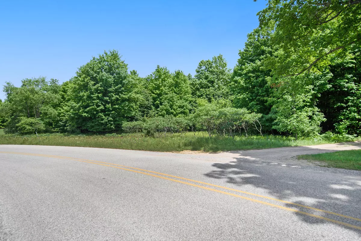 Mears, MI 49436,0 Wilson Road #Parcel 4