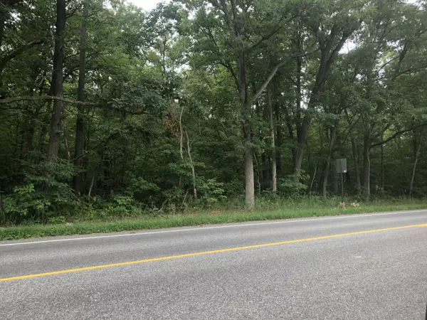 Fruitport, MI 49415,0 E Summit Avenue