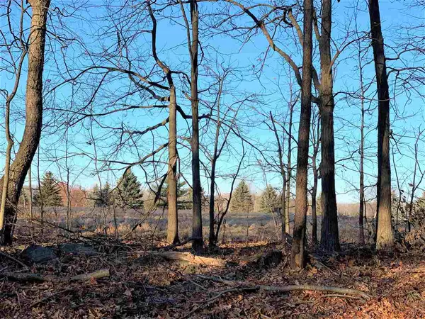 Pleasant Lake, MI 49272,Lot 11 HANKERD