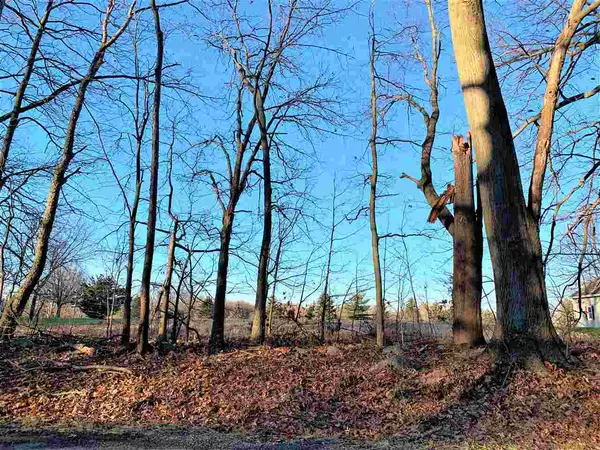 Pleasant Lake, MI 49272,Lot 11 HANKERD