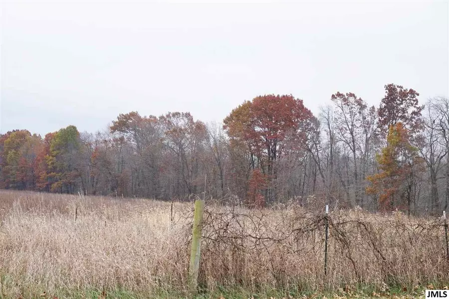Parcel #1 GRAND RIVER RD, Rives Junction, MI 49277